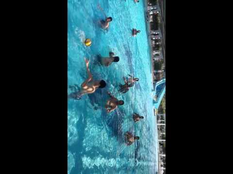 عيش وسيبنى اعيش