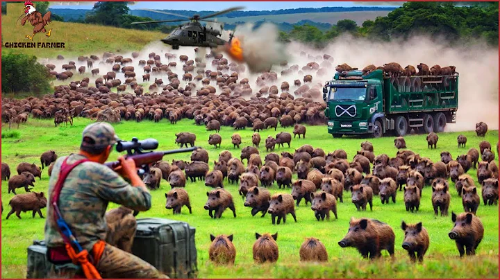 The Surprising Truth About Texas Wild Hogs Nobody Tells You