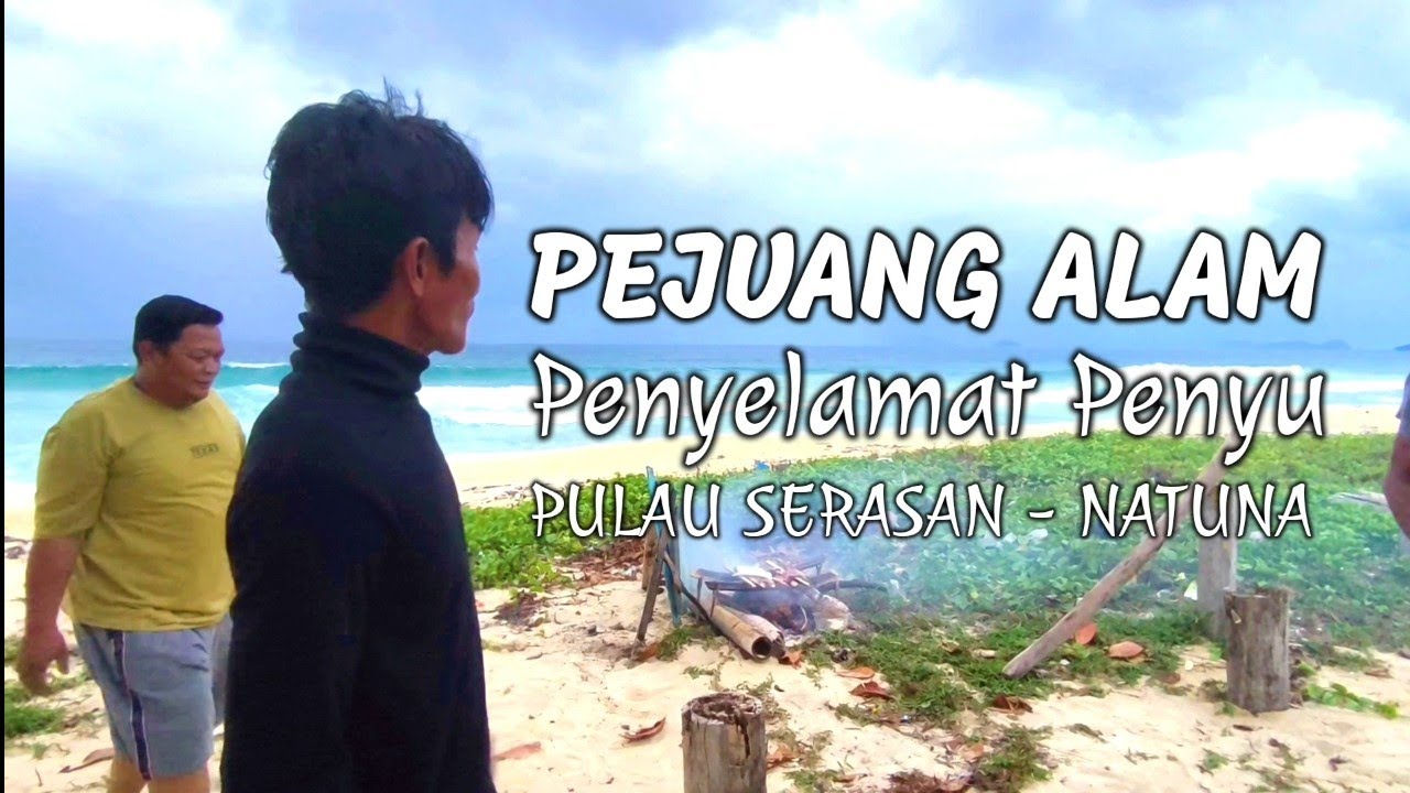 PEJUANG ALAM PENYELAMAT PENYU KEPULAUAN RIAU