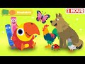 Baby Learns Vocabulary Educational Video First University 