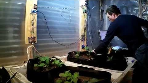 Automated greenhouse watering system (Homemade)