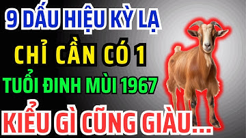 Đinh Mùi 1967 có Phước Đức, Hậu vận Giàu Sang Tự đến, Chỉ Cần Nhìn Vào 9 Dấu Hiệu Này Là Biết Ngay