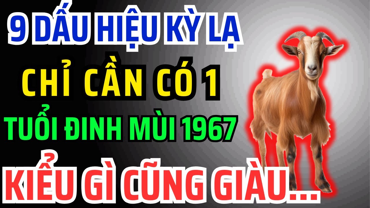 Đinh Mùi 1967 có Phước Đức, Hậu vận Giàu Sang Tự đến, Chỉ Cần Nhìn Vào 9 Dấu Hiệu Này Là Biết Ngay