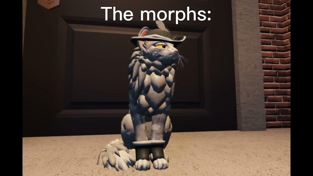 Wcue 2023 in exactly 10 seconds - YouTube