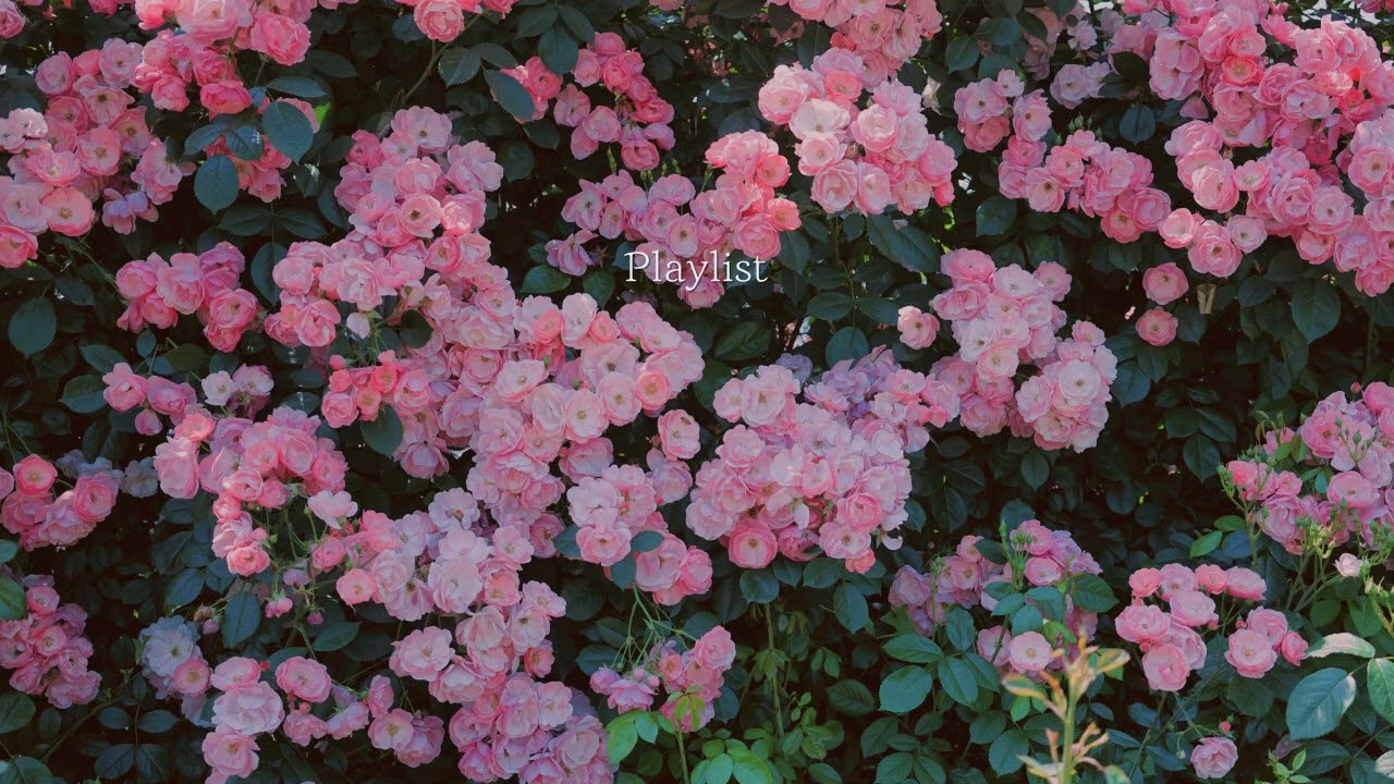 카페에서 듣는 팝송 플리 | 흐드러지게 핀 꽃 사이에서 | playlist