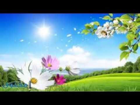 موسيقى مجانيه لليوتيوب هادئه Light Awash Kevin MacLeod