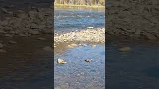 Рыбалка в Карагужихе ВКО