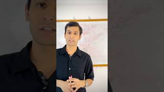 JLPT N2 Vocabulary | Important Japanese Words | Learn Japanese in Nepali | JLPT Preparation