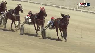 Vidéo de la course PMU PREMI HILDANGO