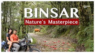 Binsar: Trekkers Paradise, Almora, Uttrakhand Travel Guide | बिनसर वन्य जीव विहार Popcorn Trip screenshot 4