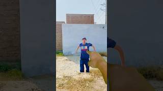 Mrwassi Video Editing