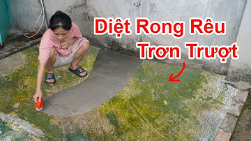 Cách Diệt Sạch Rong Rêu Trơn Trượt Trong Vài Phút / Mẹo Tẩy Nền Xi Măng Mọc Rong Rêu Trơn Té Ngã