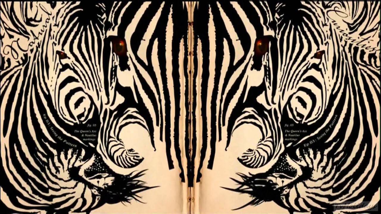 Eden HD - David Attenborough Natural Curiosities Advert 2013