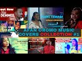 Nonstop Afan Oromo cover (Mash up) music collection #1 |walitti qabaa Cover sirboota Afaan Oromoo|