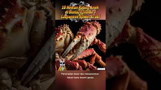 Japanese Spider Crab — Kepiting Berkaki Monster #FaktaHewan #VideoViral #Cool #EdukasiMotivasi #Unik