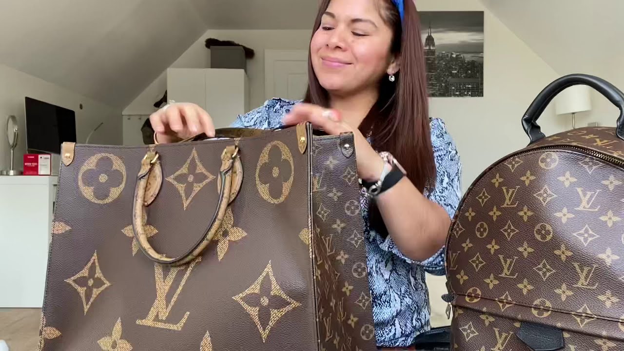 Louis Vuitton On the Go vs Palm Springs MM 