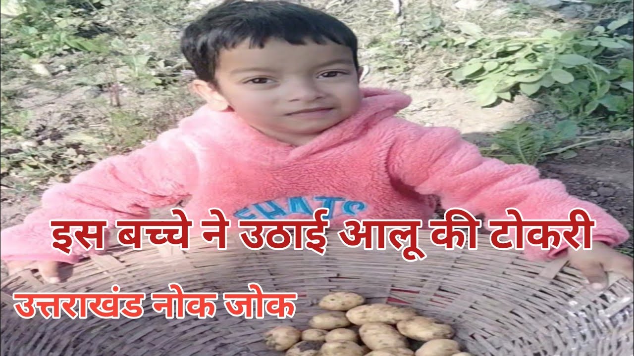 छोटे बच्चों ने की आलू की खेती ll गढ़वाली वीडियो Uttrakhand video 