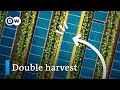 Solar Energy Solutions Quiz