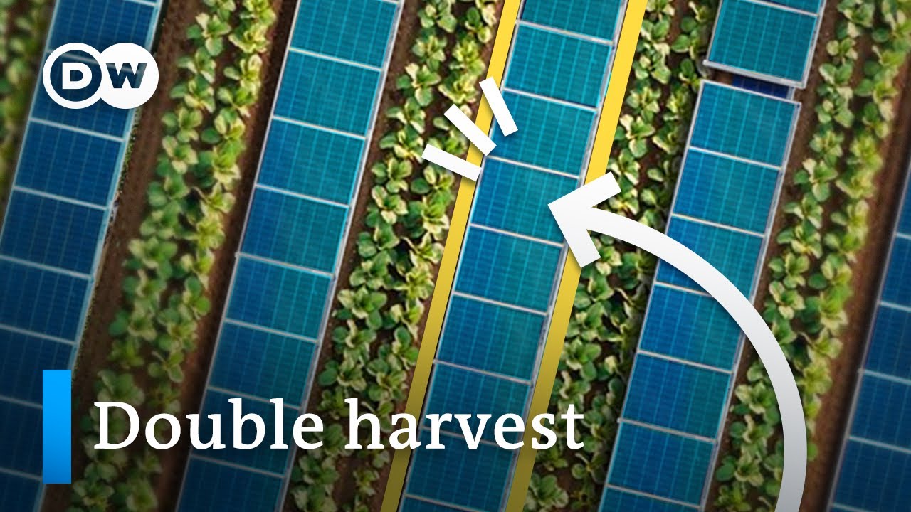 Why we should be putting solar panels on our fields and lakes?