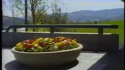 Camera - IBM Research, Almaden CA - David Jameson - 1989