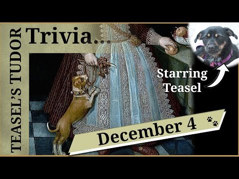Teasel's Tudor Trivia - December 4 - Henry VIII's dogs