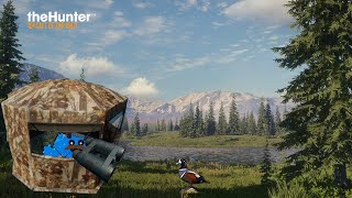 Relaxing in Yukon | Harlequin Ducks Keep Coming Back -  TheHunter Call of the Wild 🦆