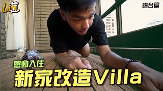 天啊我打造了專屬Villa 生命力爆發的陽台『香蕉』