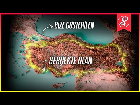 Video: Böyük ölçülü kimdir?