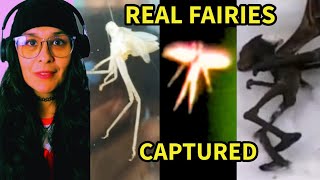 Fairies are real?? WTF!!!