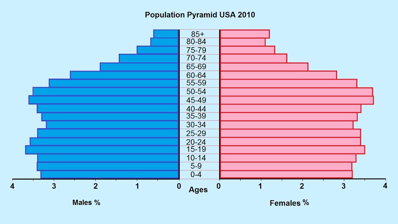 What is a population pyramid?