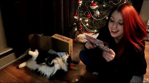 November KitNipBox Unboxing - Featuring KITTIES!