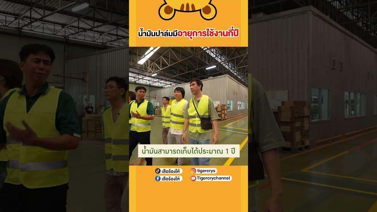 จริงๆ แล้วน้ำมันพืชเก็บไว้ใช้ได้กี่ปี  #เสือร้องไห้ #TigerShorts #shorts #น้ำมันพืช #น้ำมันปาล์ม