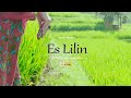 Es lilin indonesian traditional song  played by sarah saputri on a seydel blues harmonica