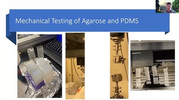 Characterizing Mechanical and Electrical Properties of Agarose Phantom to Model..., Brandon Rios