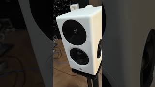 Ascilab S6b latest Proto Passive Purifi Speaker With March  P482 Purifi Power Amplifier