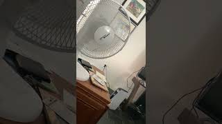 IMG 1401