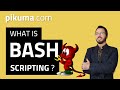 What is Bash Scripting?