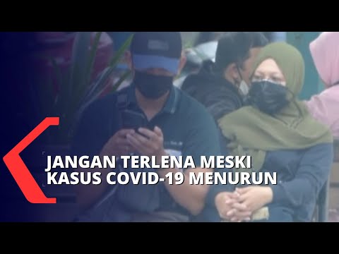 Video: Potensi Masalah Pembungkusan Dengan Clomicalm