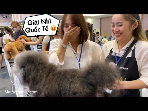 Đưa Đội Spa Đi Thi Cắt Lông Thú Cưng Quốc Tế – Mật Pet Family