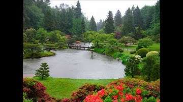 سورة الأخلاص والمعوذتان برواية أبن ذكوان عن إبن عامر - د. يوسف أبوسمرة حنني - مقام النهاوند