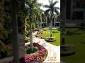 🔥 YouTube Title: Palm Tree Paradise Garden Transformation 🌴✨ | JSYF DxZ