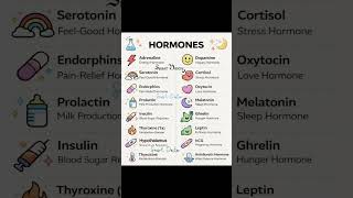 Hormones in human body | nursing notes | norcet |