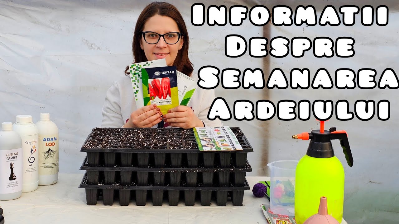 Secretele unei Germinări Eficiente : Cum să Stimulezi Creșterea Ardeilor Mai Rapid și Economic !