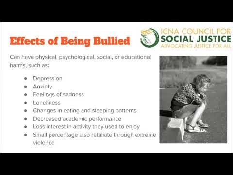 The Effects Of Bullying On Students Within