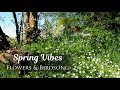Spring Morning Ambience | Wildflowers and Birds Singing | Calming and Relaxing, 2 hours