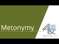 Understanding Metonymy