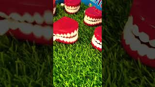 Chattering Teeth Fidget Toy! My Nan let me borrow her teeth #fidgettoys #asmrsounds #toys #fidgets