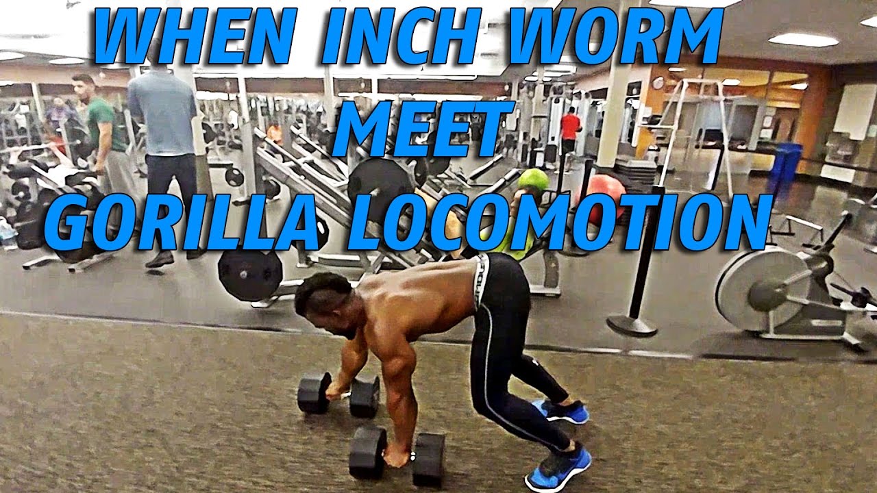 GET BUFF AND SHREDDED WITH THE GORILLA WORM ROUTINE VERY INTENSE