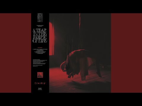 Knocked Loose - Forced to Stay