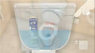 Parryware Smart Flush For Comod Self Cleaner